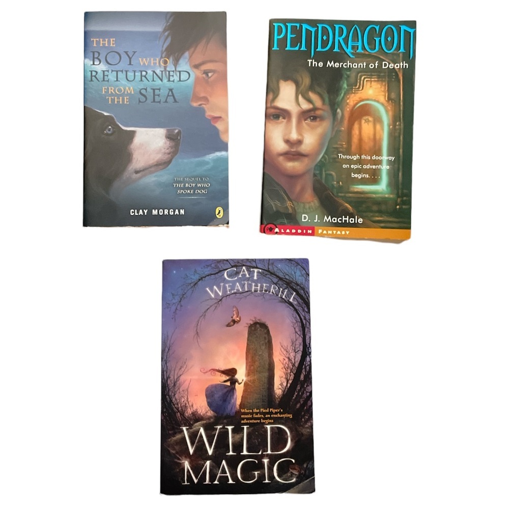 Bundle of 3 Children Story Books The Merchant of Death (Pendragon) Wild Magic….